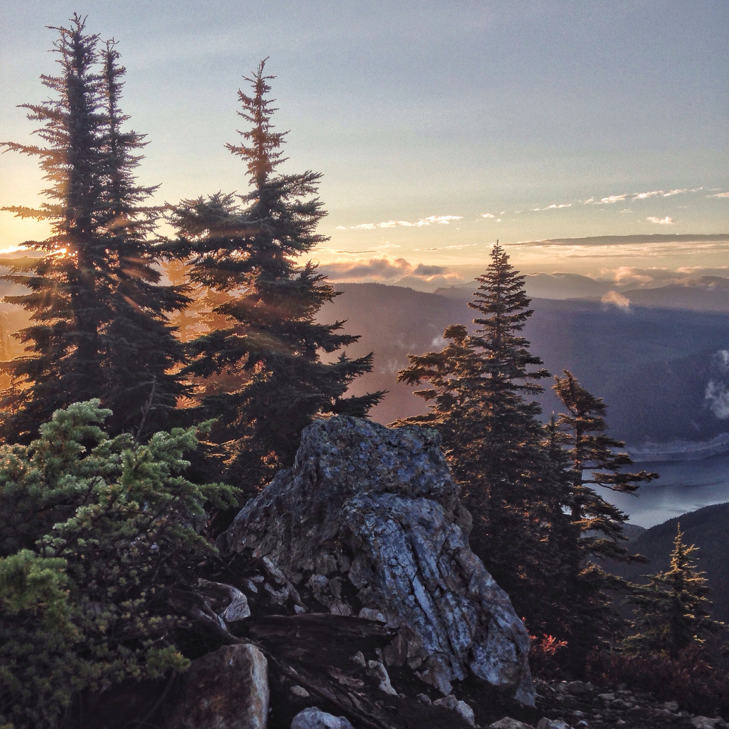 Up Before the Sun