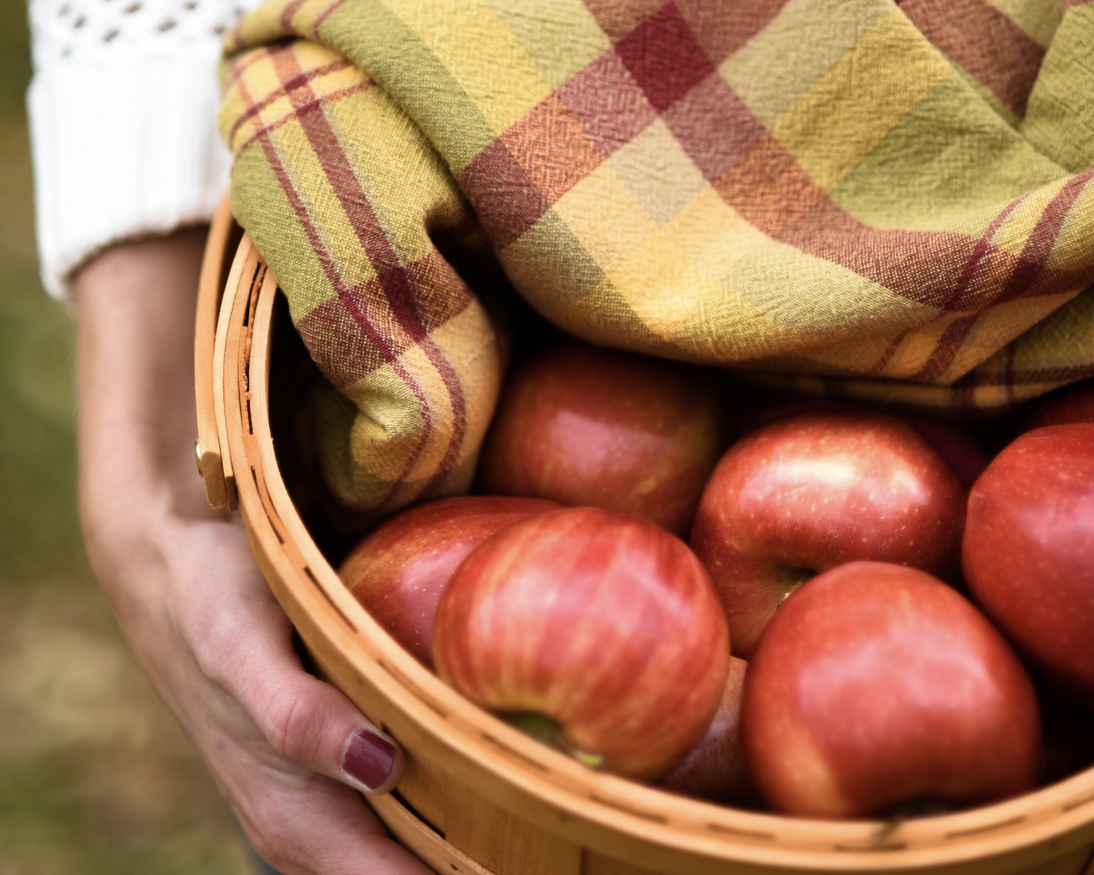 Harvest Apple Cider Mules