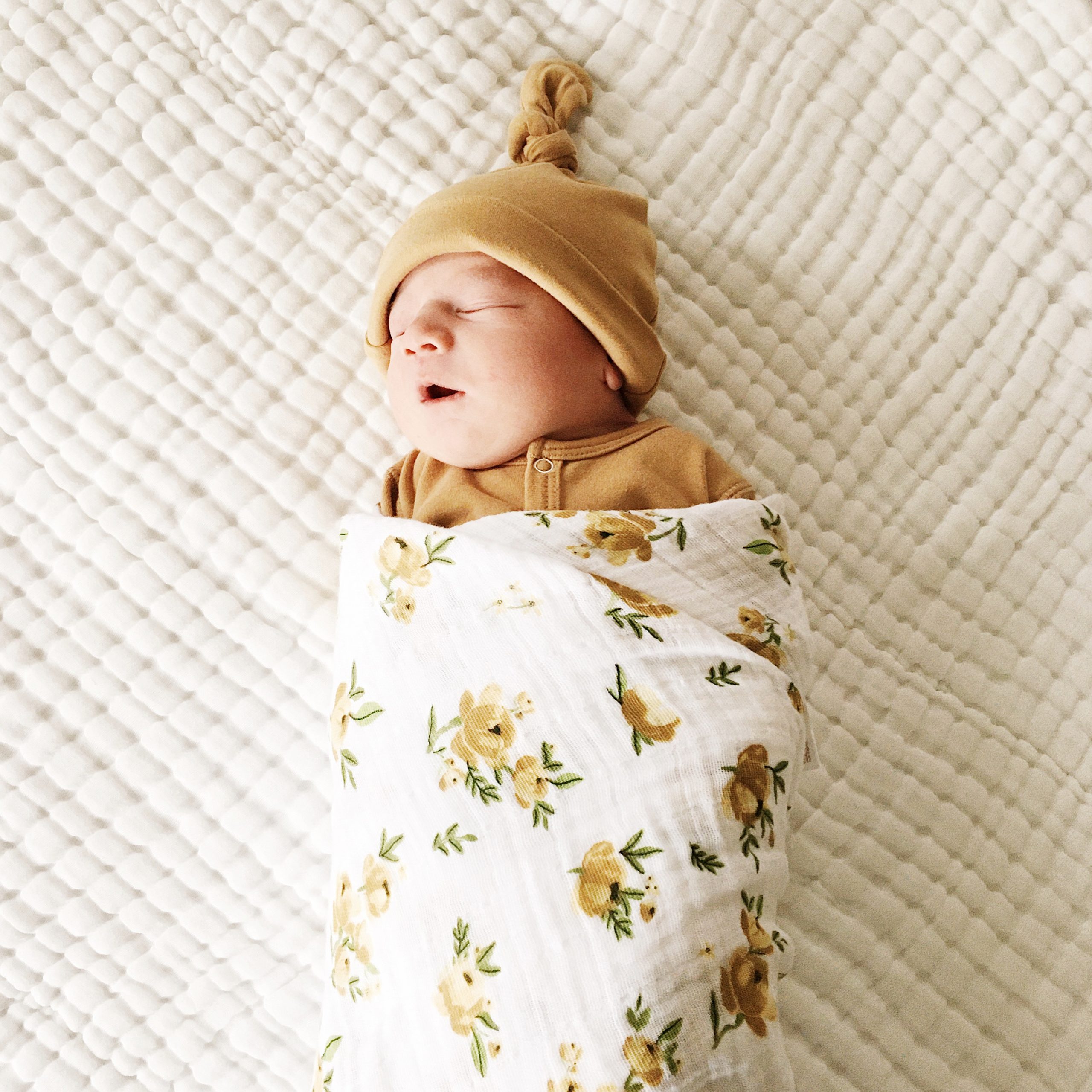 Meet Riley Ann